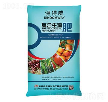 �������ͺ������-��������