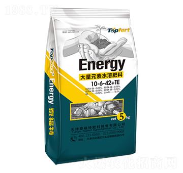 ����Ԫ��ˮ�ܷ���10-6-42+TE-̩���ط���