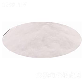 ����⛷�-�۸�˼�_