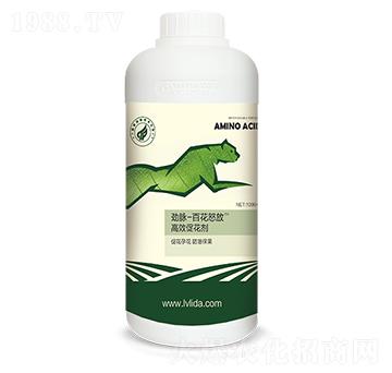 ��Чֲ�ﻨ�����M(j��n)��-��(y��u)����(y��u)��-���}