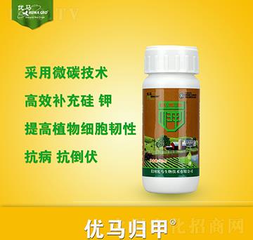 ��(y��u)�R�w��-��(y��u)�R����