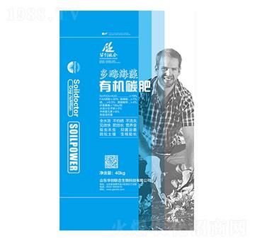 ��ø�����ЙC(j��)̼��-�A��(chu��ng)(li��n)��