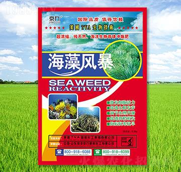 �����L��-����