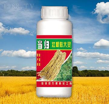 ���w�Ѹ�����`-����