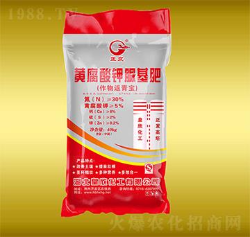 �S����⛻���-����