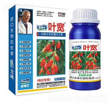 ��轌��Ì����~���-��������ø�T����-�~��-ʥ��������