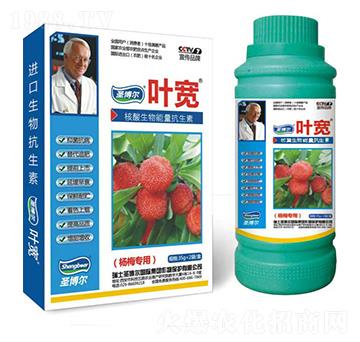 ��÷�����~���-��������ø�T����-�~��-ʥ��������