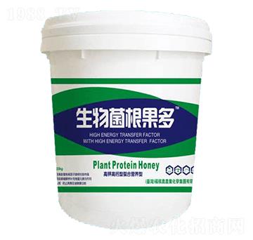 �����������-�������