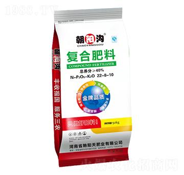 ���������(f��)�Ϸ�22-8-10-��ꖜ�-�G���ʘI(y��)