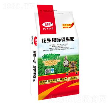 花生根際促生肥-都豐-鑫恒豐