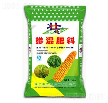 �������19-19-19-�ѵ�-�S���_(d��)