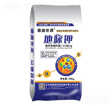 ���}�-��ʢ��Դ-������