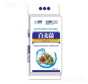 ����������{�턩-���ľ�-�A�����Z