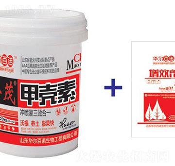 �ך���-�A�����Z