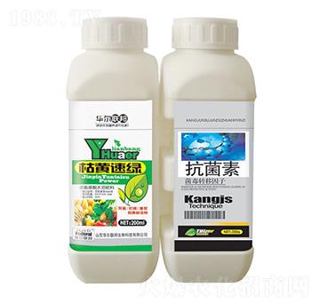 ���S�پG+������-�A�����Z