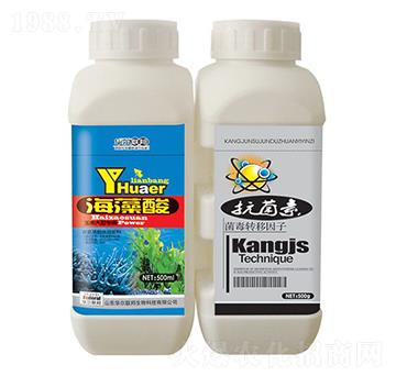 ������+������-�A�����Z