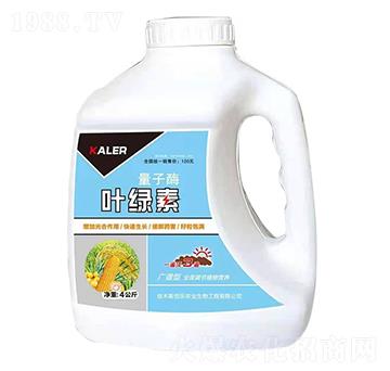 �~�G��-����ø-���r�I(y��)