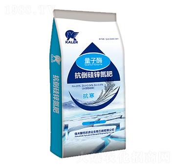 �������\����-����ø-���r(n��ng)�I(y��)