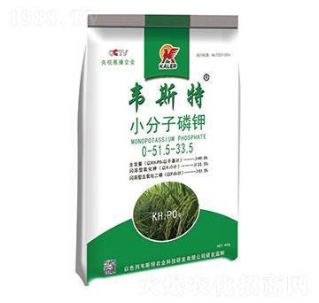 С�������-�f˹��-���r(n��ng)�I(y��)