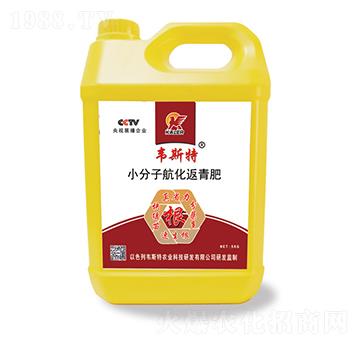 С���Ӻ��������-�f˹��-��(l��)�r(n��ng)�I(y��)