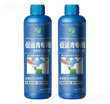 �ٷ������ó������׏ͺ�ø-ɭ�w����