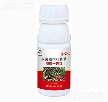 辣椒一噴紅-強農(nóng)