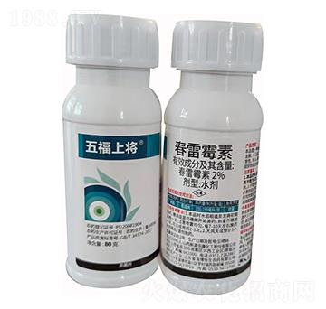 6%����ù��-�帣�ό�-����������