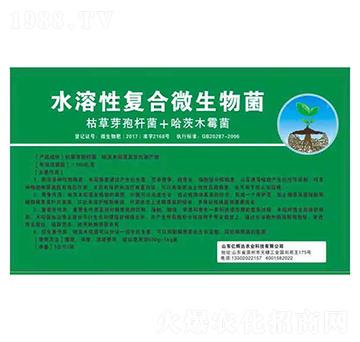 ˮ���ԏͺ�΢�����-�|�x�_