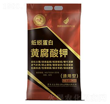 ��򾵰���S�����-����