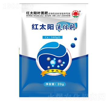 ���w�}-�t̫�-�ư���