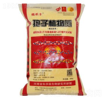 ����ֲ�ﵪ-����S-��˹��