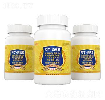 �Ŷ����T���ؿɝ��Էۄ�-�����-�����S