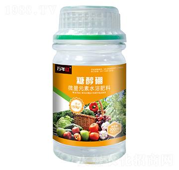 糖醇硼-萬年紅-諾誠金