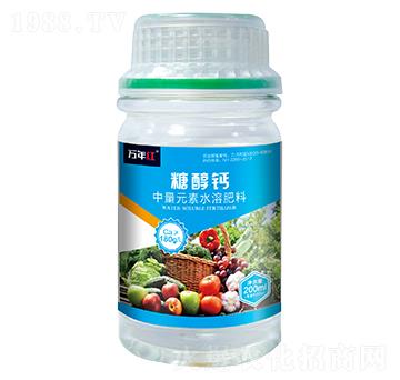 糖醇鈣-萬年紅-諾誠金