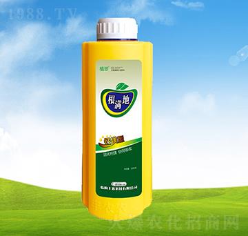 ���������I�B(y��ng)�B(y��ng)����-��