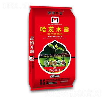 40kg����ľù-���r(n��ng)���F