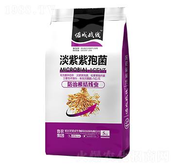 �������߾�-�Z�ɑ�(zh��n)��-���r(n��ng)���F