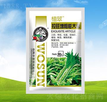 �������������-ֲ��-