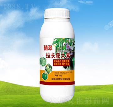 ���L�����-ֲ��-�S�r(n��ng)