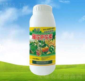 �߻��o����-ֲ��-�S�r(n��ng)