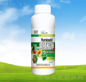 ��ֲ��⛡�ƿ��-ֲ��-