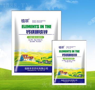 �}�V���F�\������-ֲ��