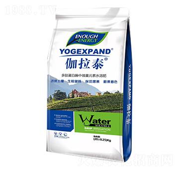 ���ĵ���ø��΢��Ԫ��ˮ�ܷ�-٤��̩-�����S