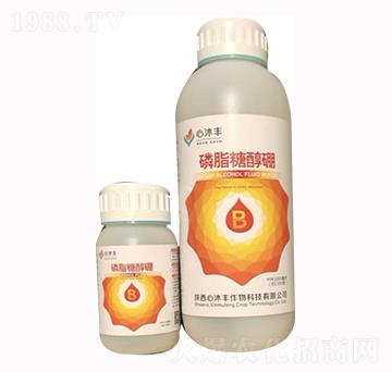 ��֬�Ǵ���-�����S