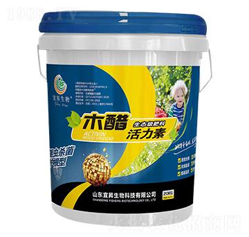 ľ�׻�����-�˕N����