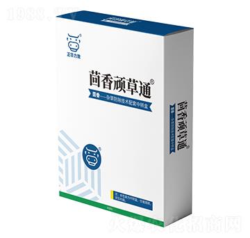 �����B��ͨ-���A����