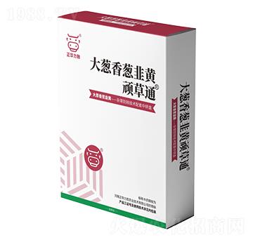 ���[�����[�����S�B��ͨ-���A����