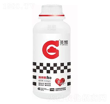 ���w��150-�|��