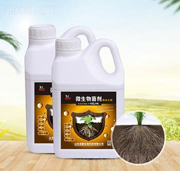 ΢�������-�������