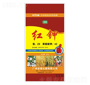 �t�-�긣����